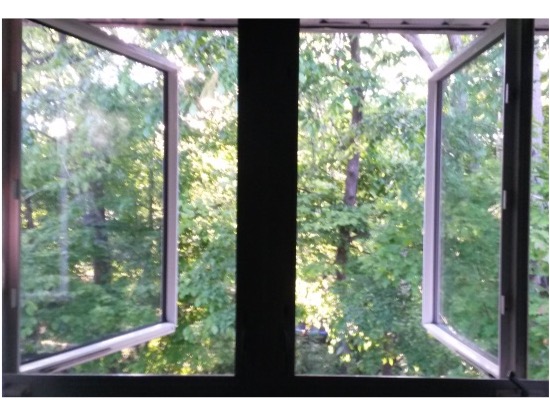 Windows open overlooking the woods